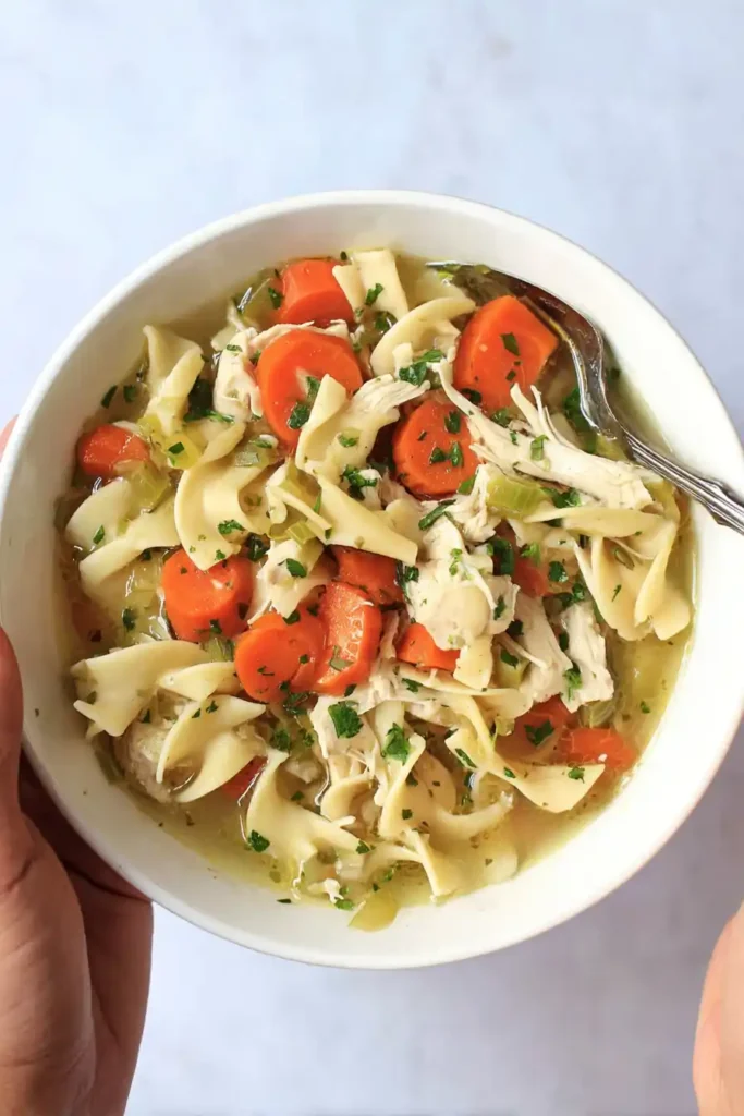 Slow Cooker Chicken Noodle Soup